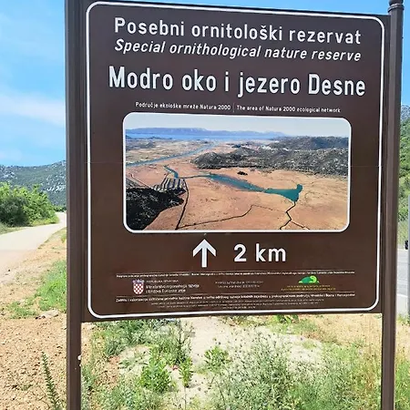 Lavanda * Desne