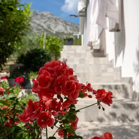 Lavanda Villa *